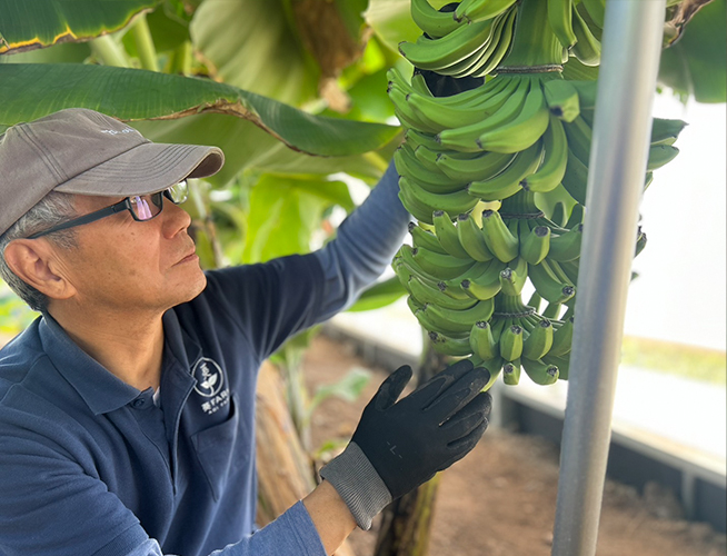 農薬・化学肥料不使用